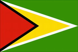 Guyana praises cuban health cooperation